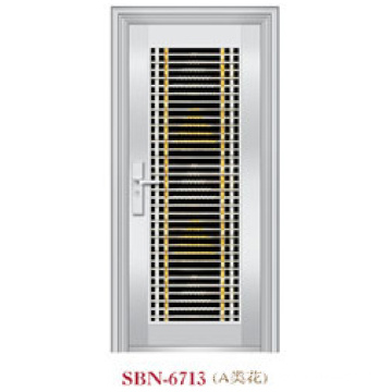 Stainless Steel Door for Outside Sunshine  (SBN-6713)